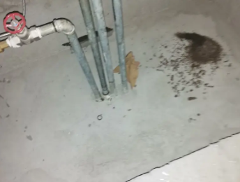 渑池卫生间测漏水价格明细