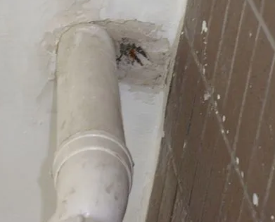 渑池漏水检测哪家好